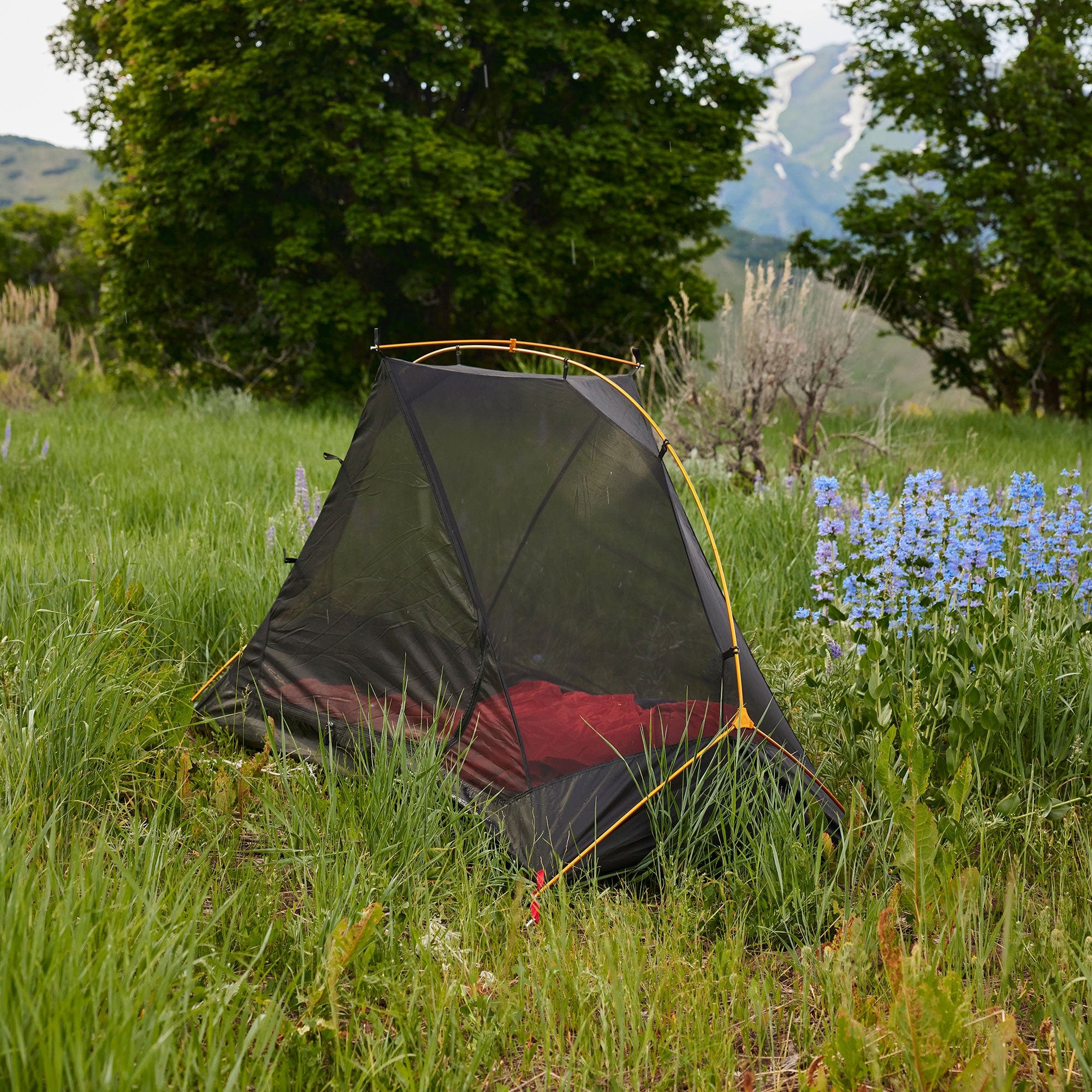 Mountain Ultra Tent