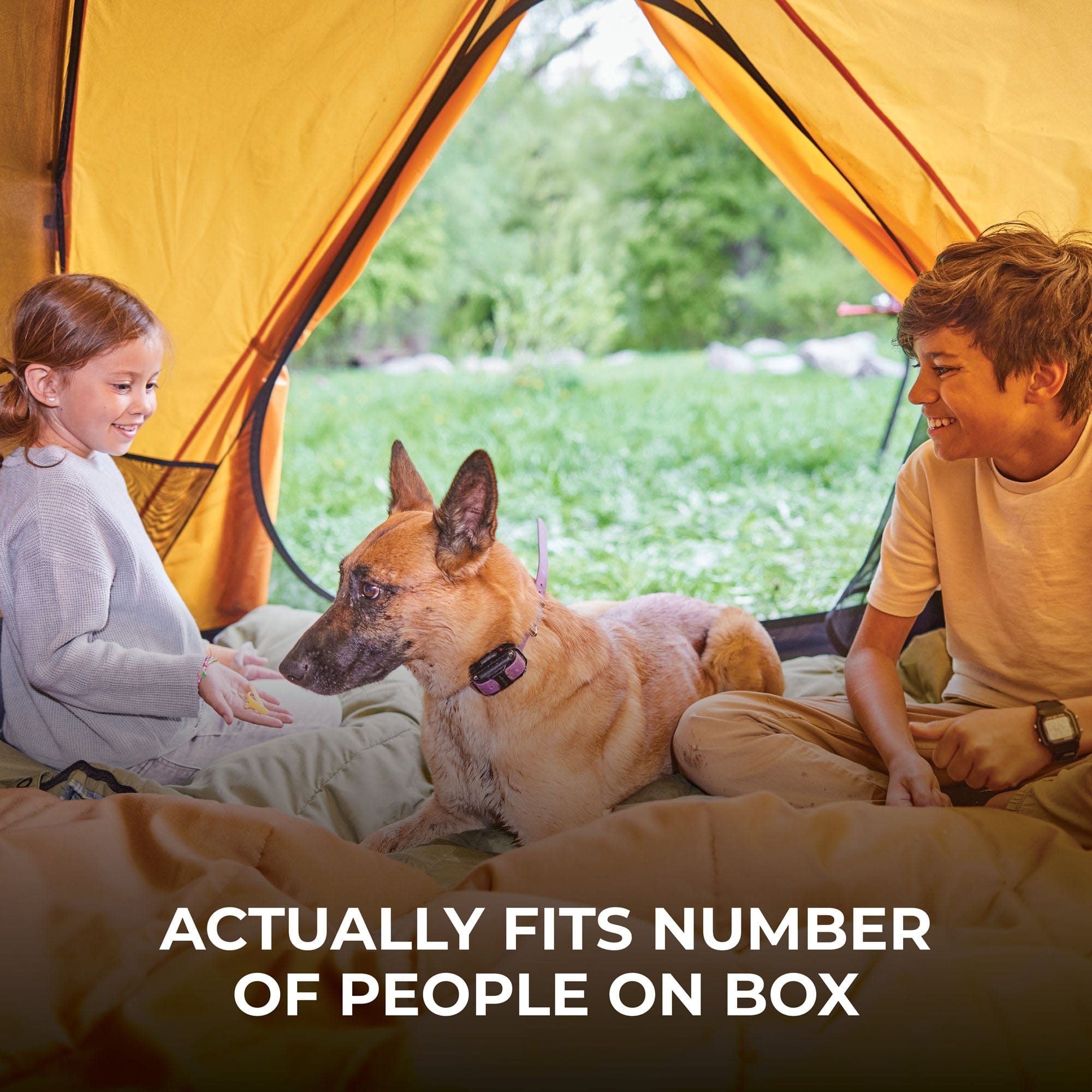 Mountain Ultra Tent