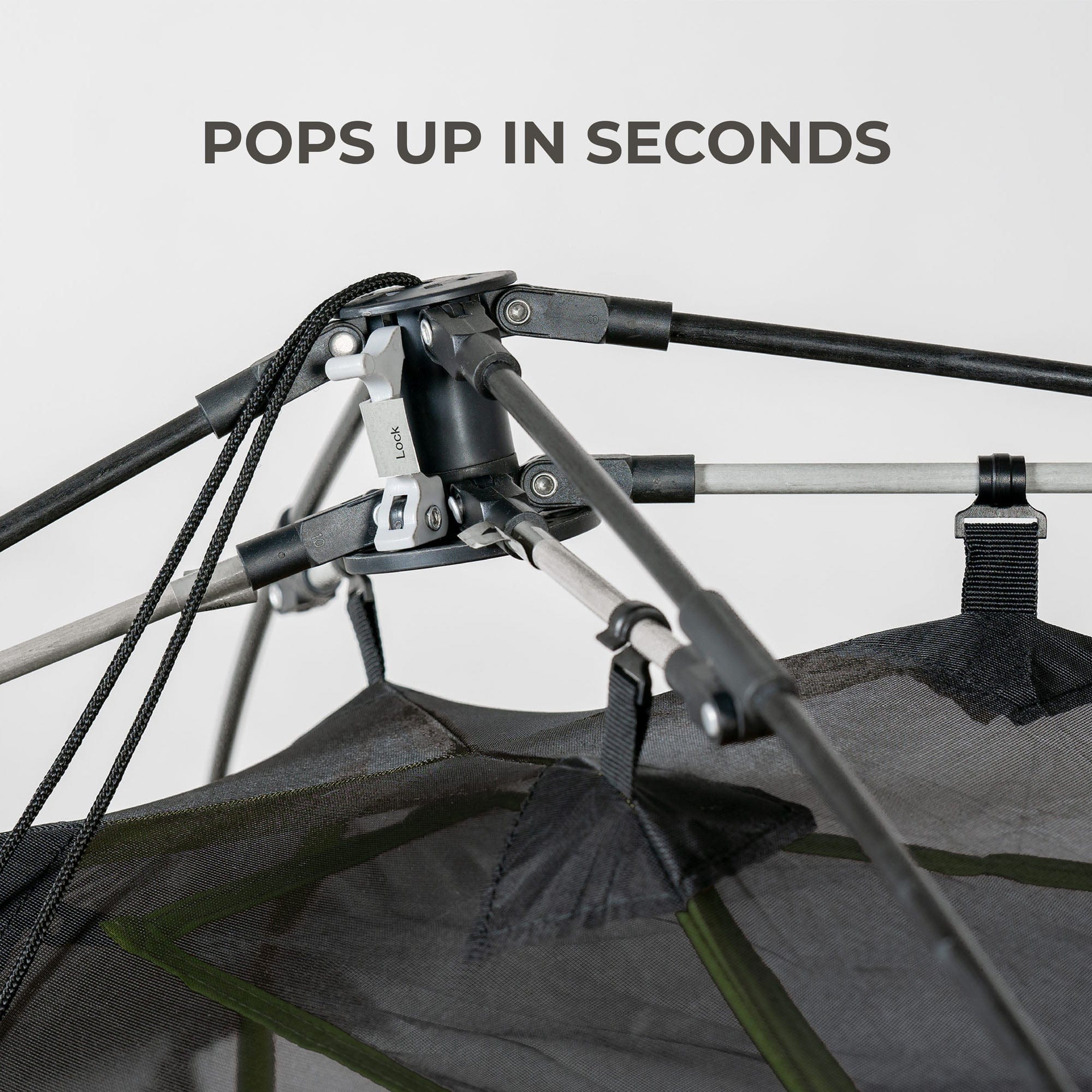 Vista Quick Tent